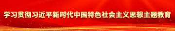 日逼喷水视频网站学习贯彻习近平新时代中国特色社会主义思想主题教育