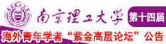 大吊日小穴视频网南京理工大学第十四届海外青年学者紫金论坛诚邀海内外英才！